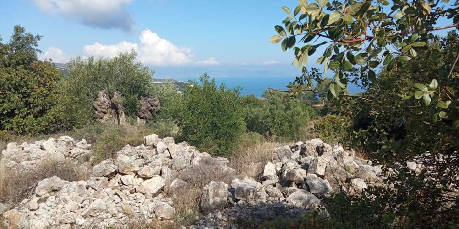 土地 在 Zakynthos, Zakinthos 10087933