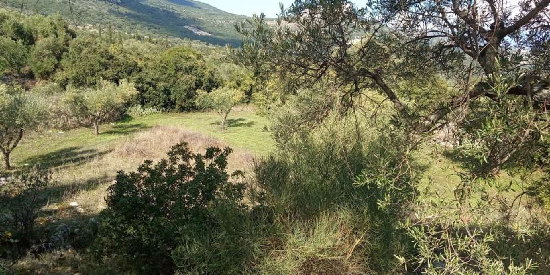 Maa sisään Zakynthos, Zakinthos 10087933