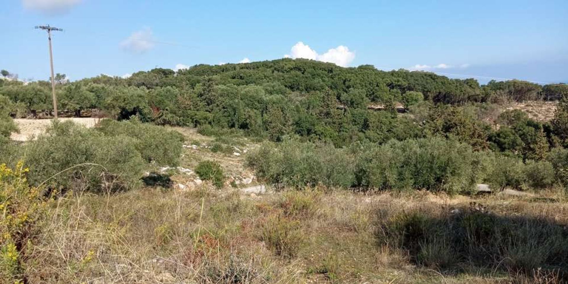 Maa sisään Zakynthos, Zakinthos 10087934