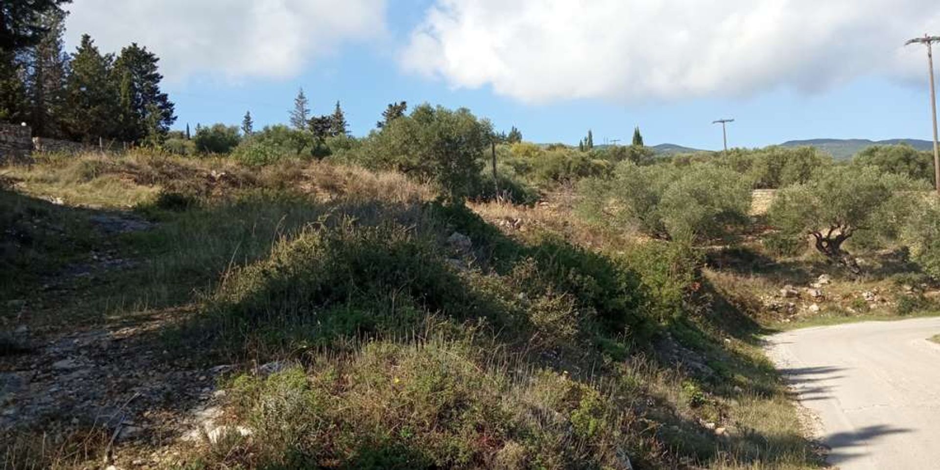 Maa sisään Zakynthos, Zakinthos 10087934