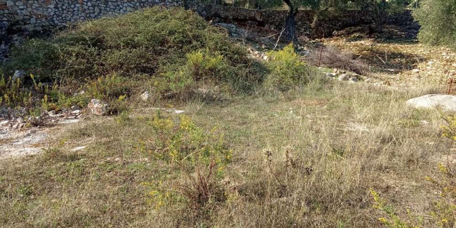 Maa sisään Zakynthos, Zakinthos 10087934