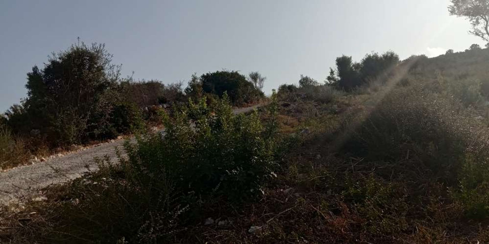 Land i Zakynthos, Zakinthos 10087936