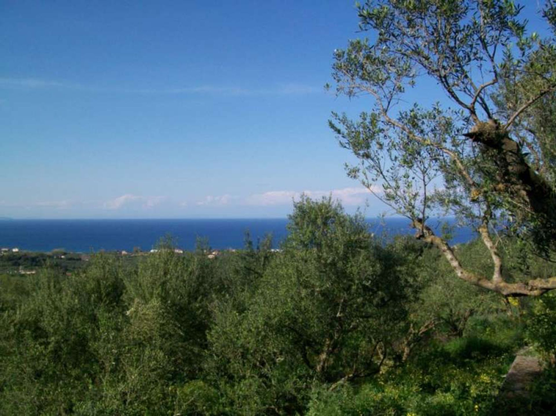 Tanah di Zakynthos, Zakinthos 10087940