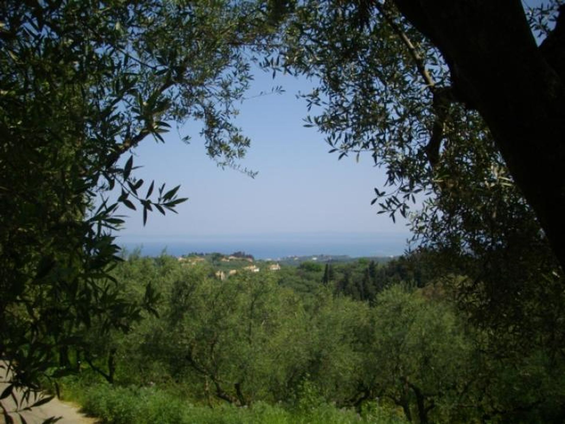 Tanah di Zakynthos, Zakinthos 10087940