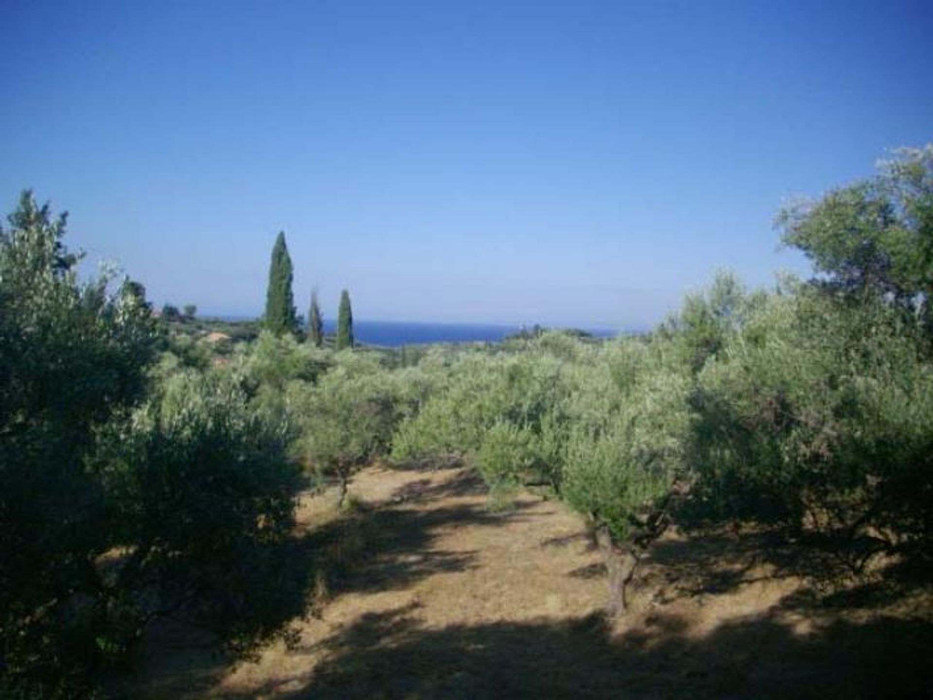 Land in Kalipado, Ionië Nisia 10087946