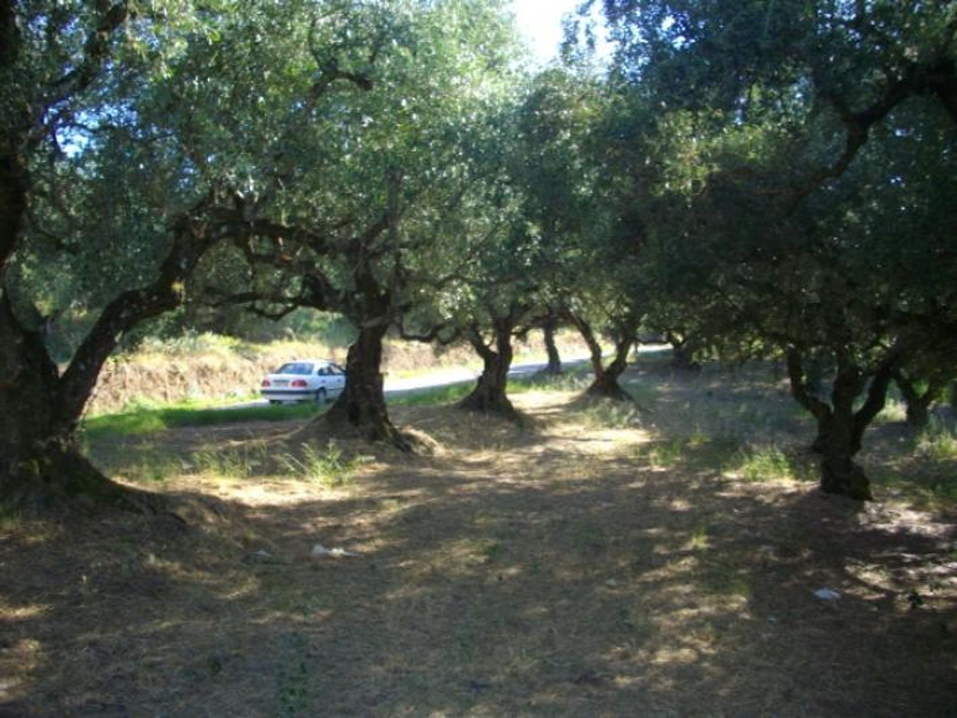 Land in Kalipado, Ionië Nisia 10087946