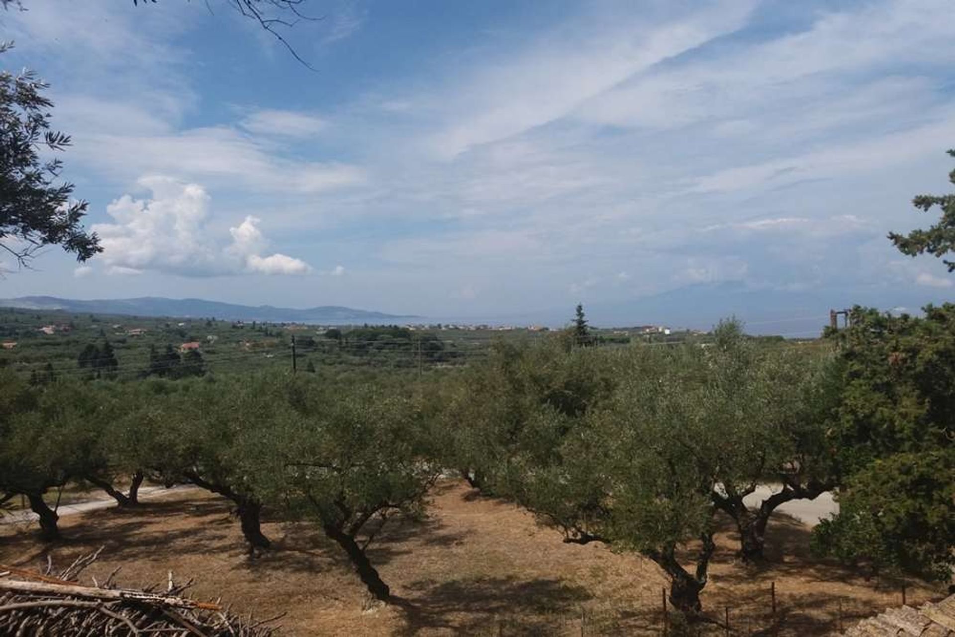 Land in Zakynthos, Zakinthos 10087952