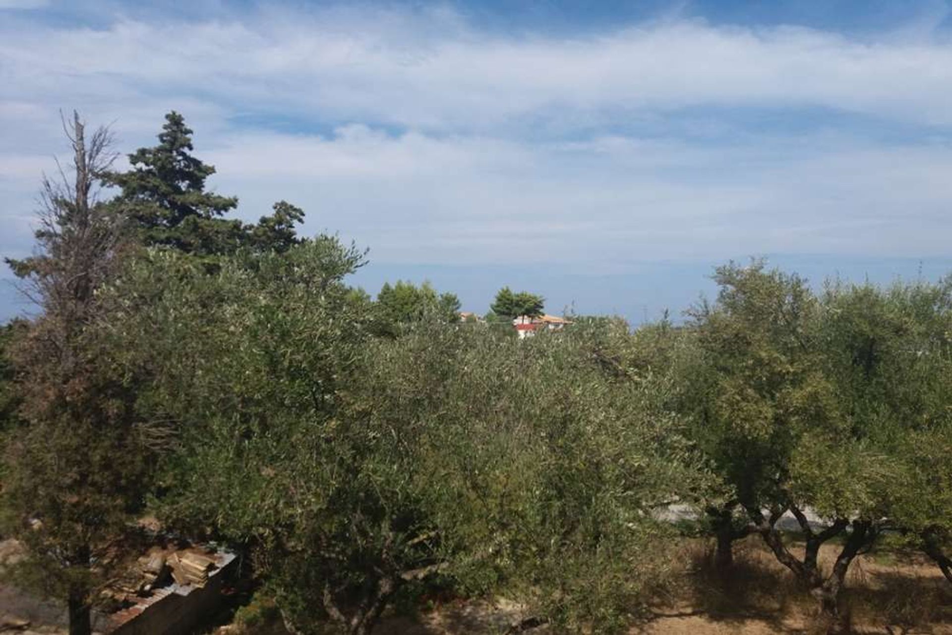 土地 在 Zakynthos, Zakinthos 10087952