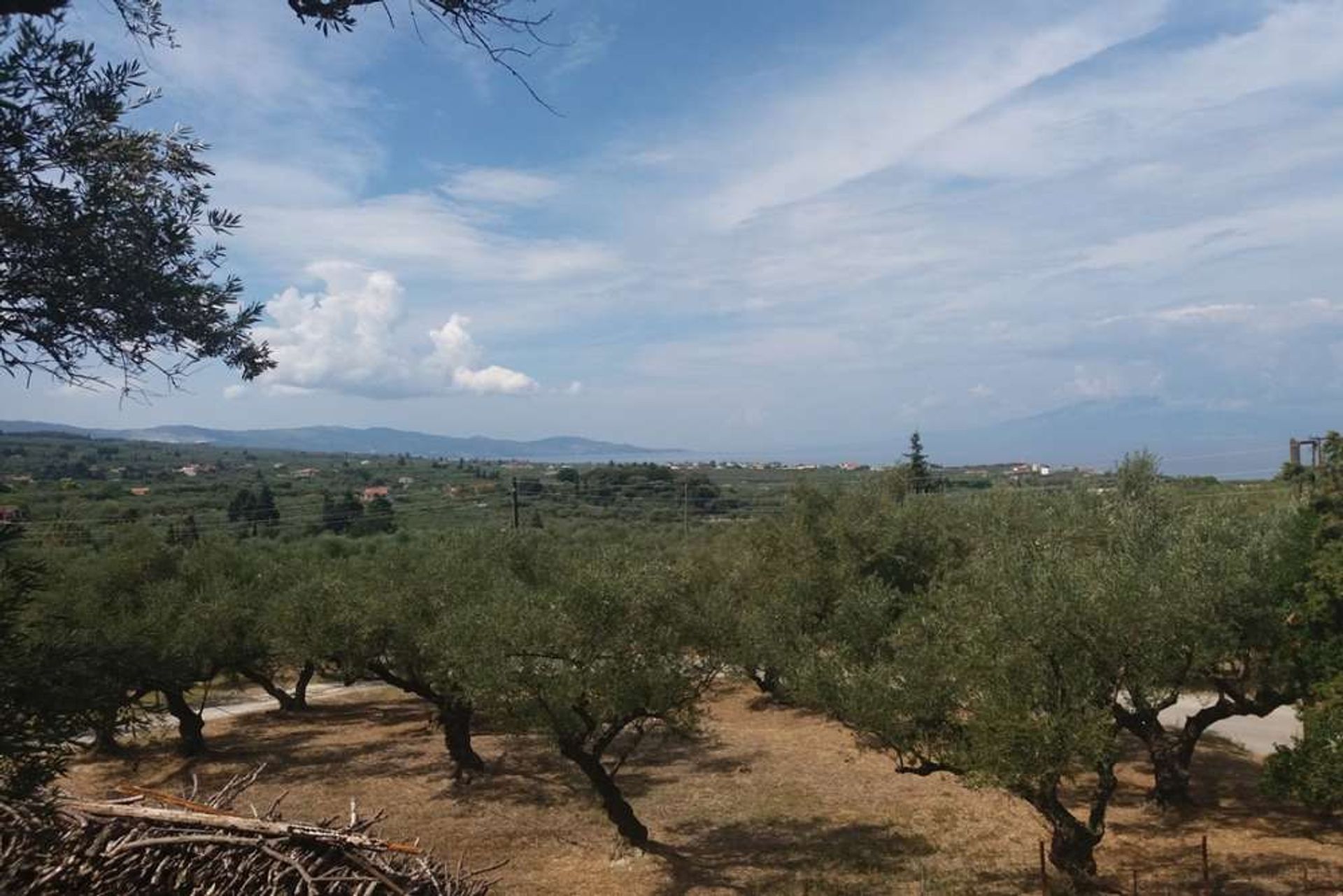 Land in Zakynthos, Zakinthos 10087952