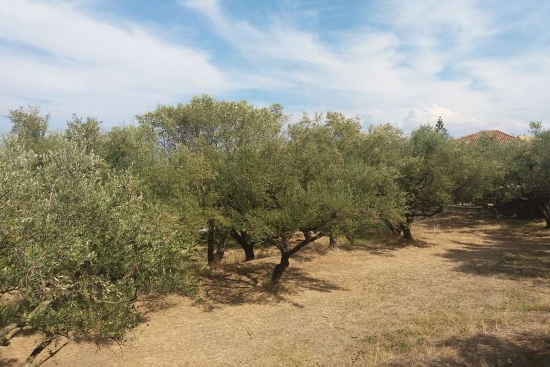 Γη σε Μπόχαλη, Ιωνία Νησιά 10087952