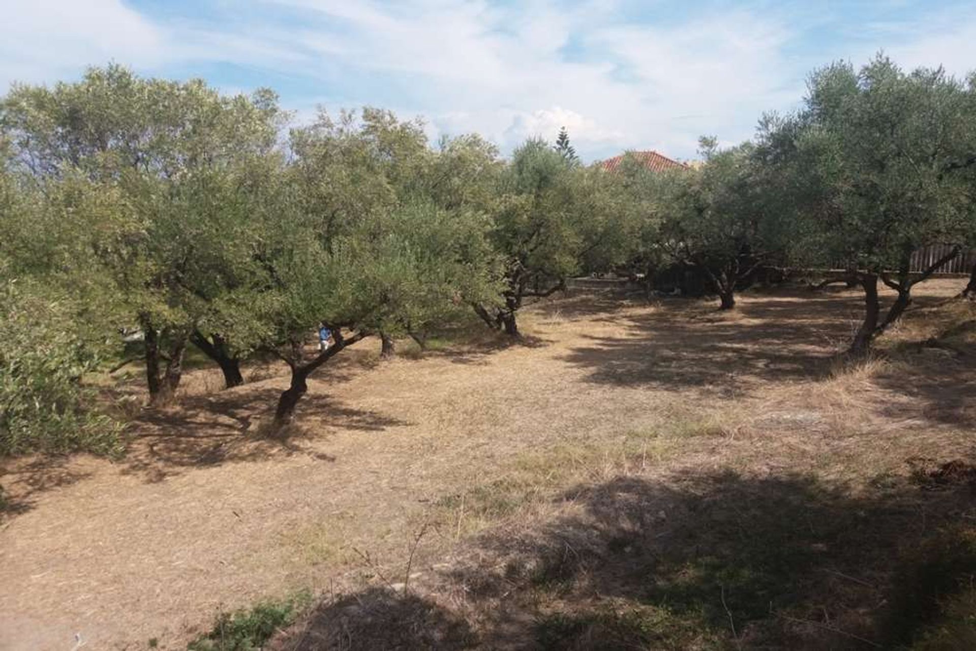 Land in Zakynthos, Zakinthos 10087952