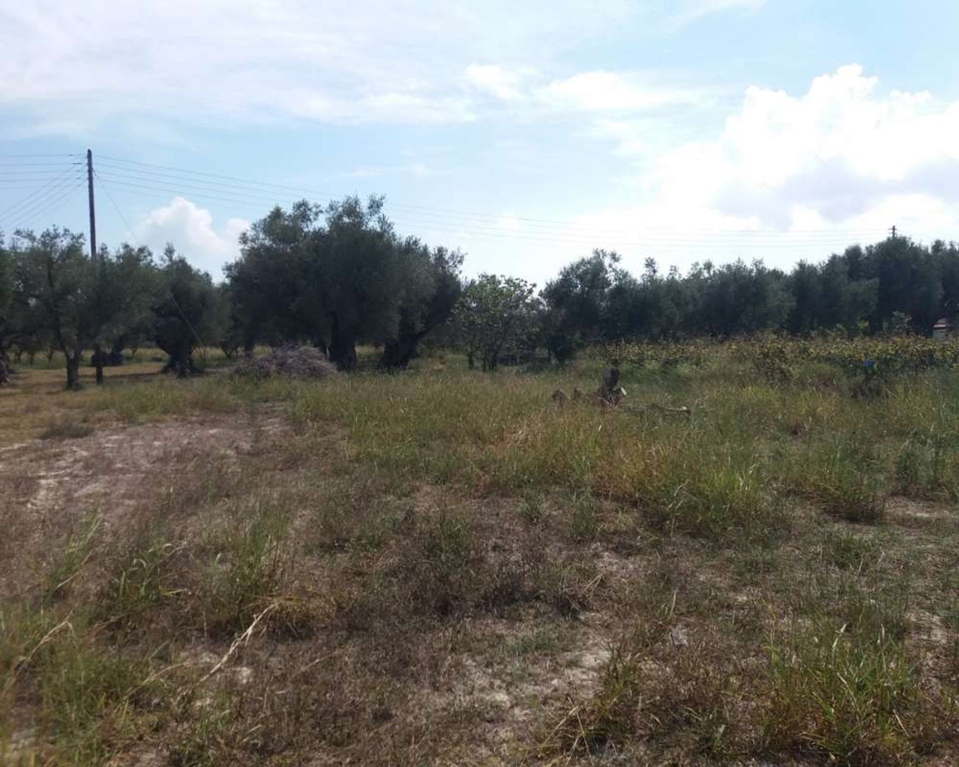 Land in Zakynthos, Zakinthos 10087953