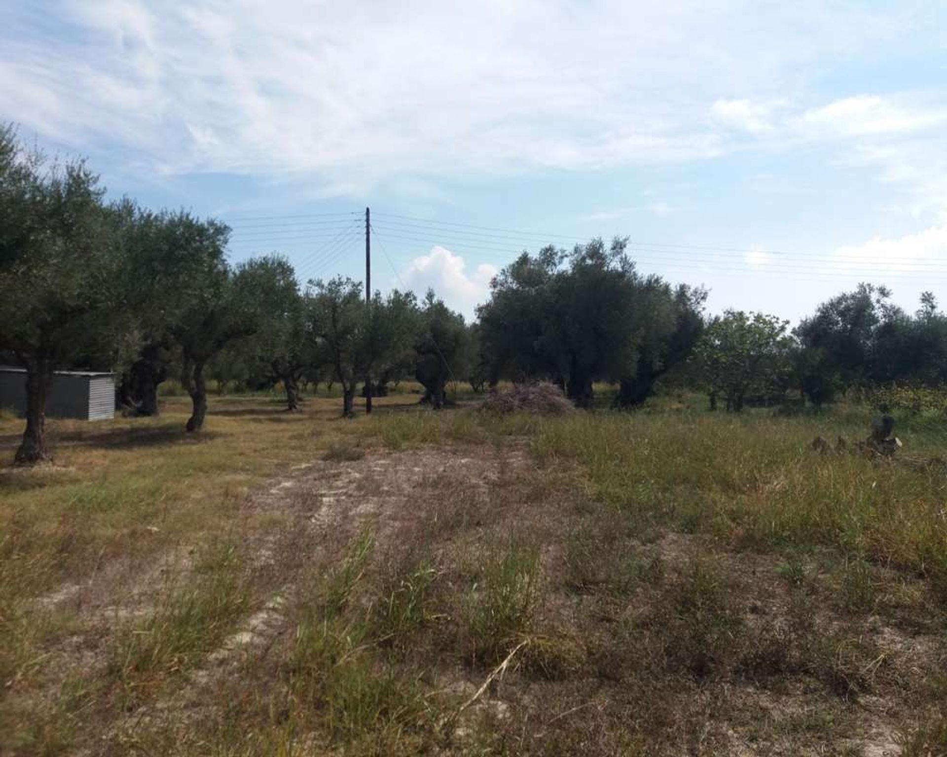 Land in Zakynthos, Zakinthos 10087953