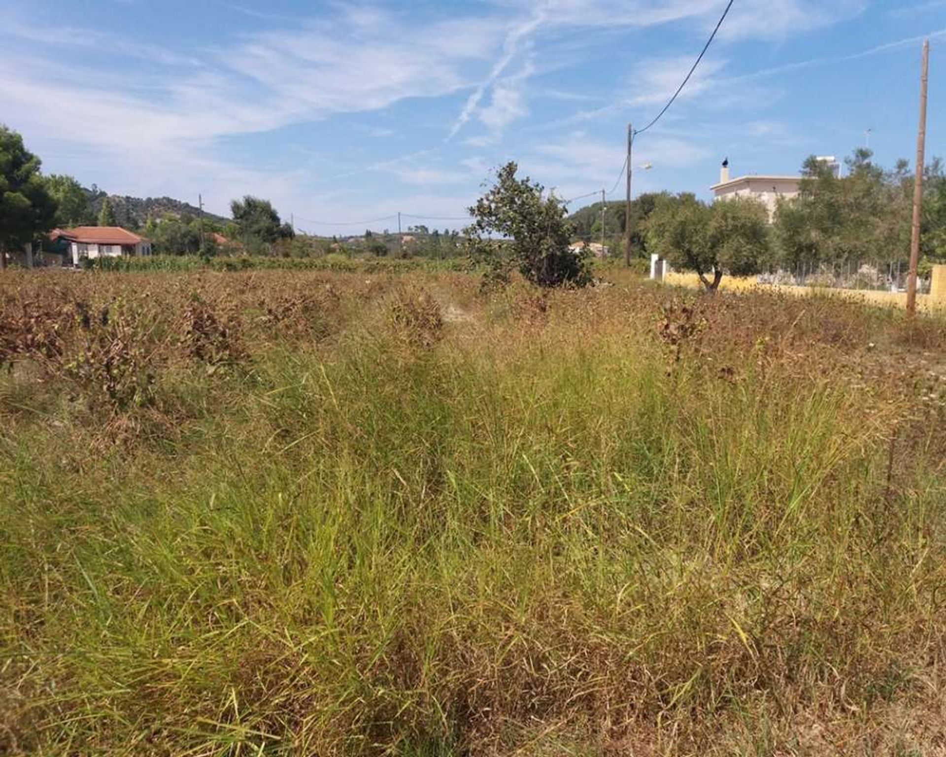 Land in Zakynthos, Zakinthos 10087953