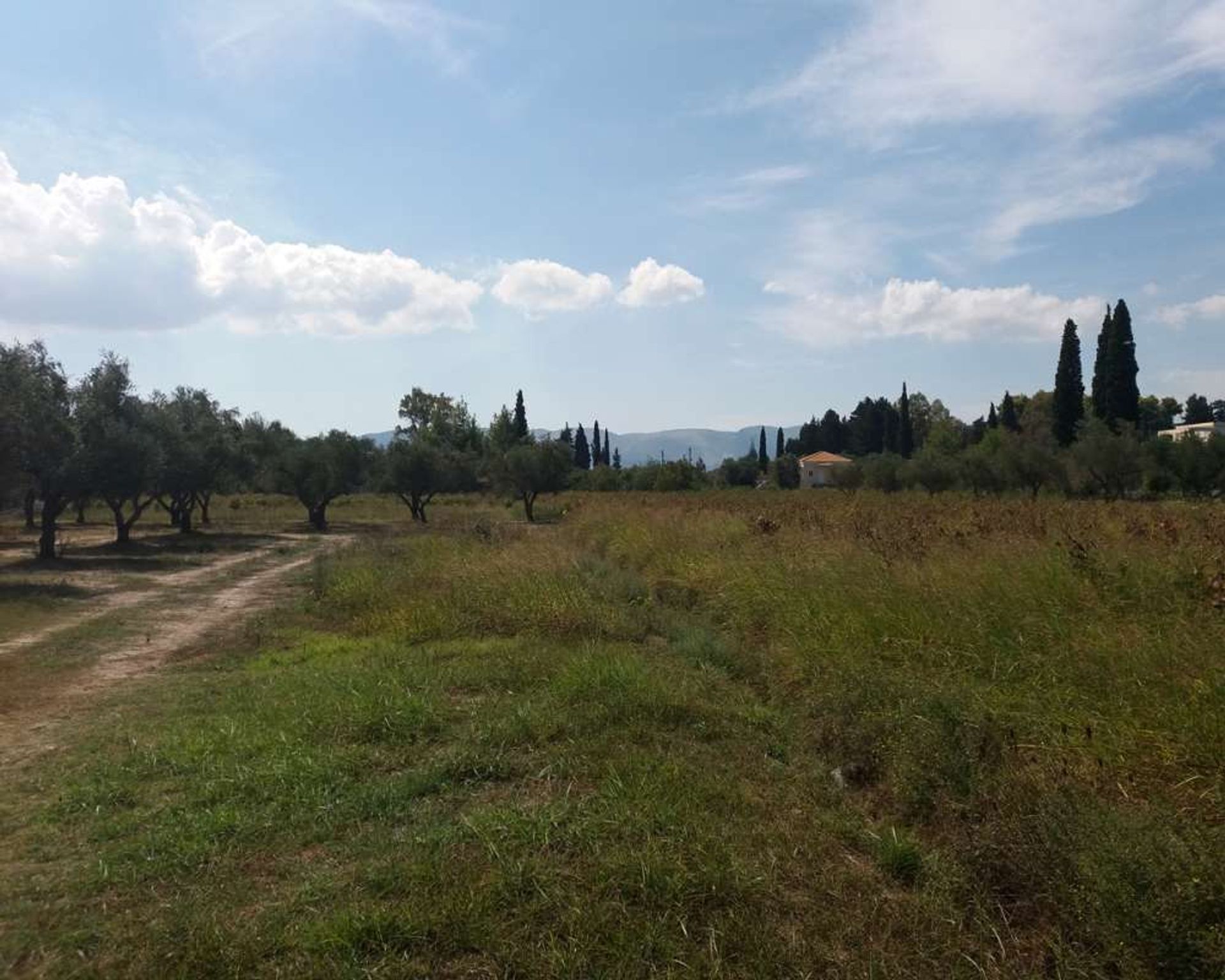 Land in Zakynthos, Zakinthos 10087953