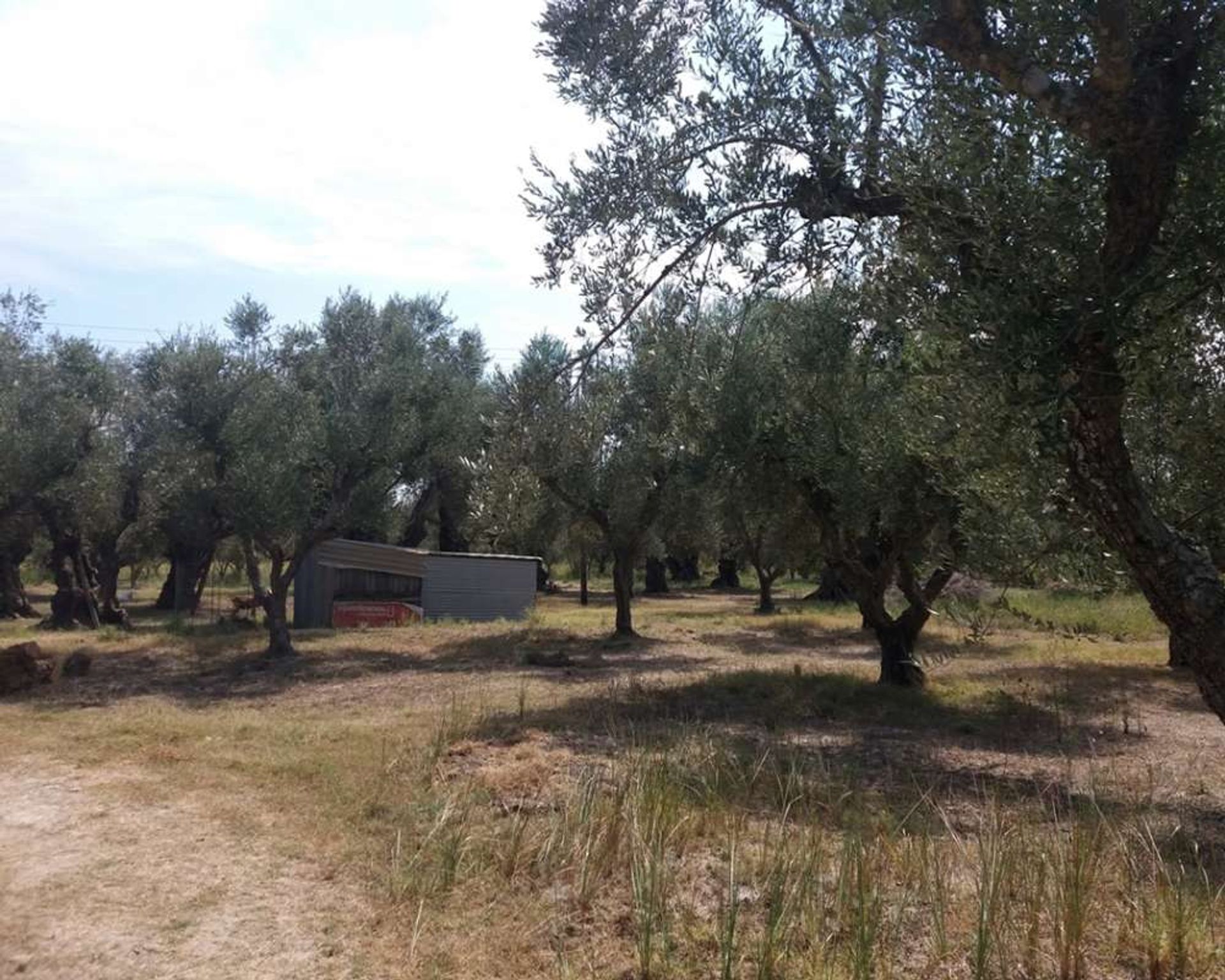 Land in Zakynthos, Zakinthos 10087953