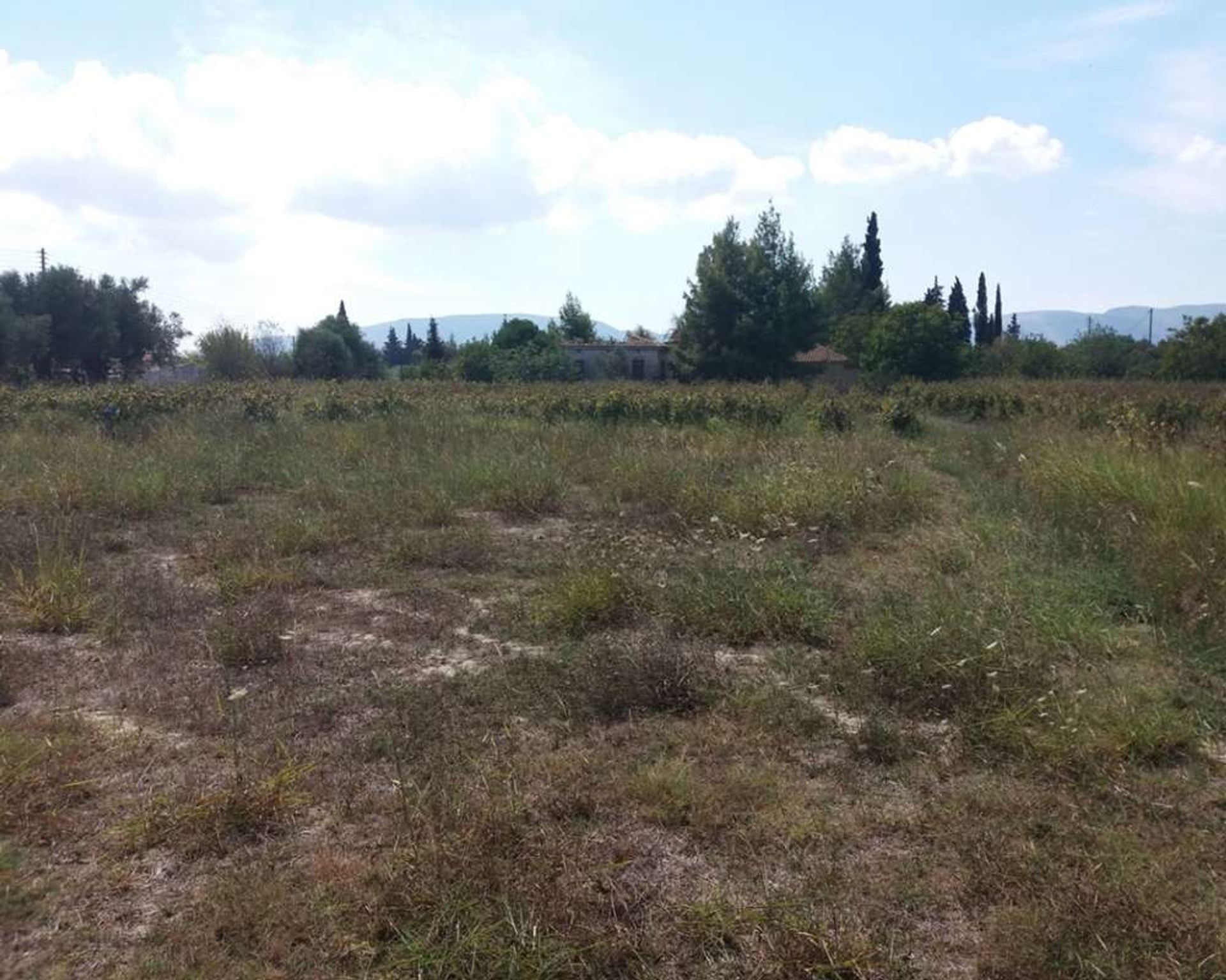 Land in Zakynthos, Zakinthos 10087953