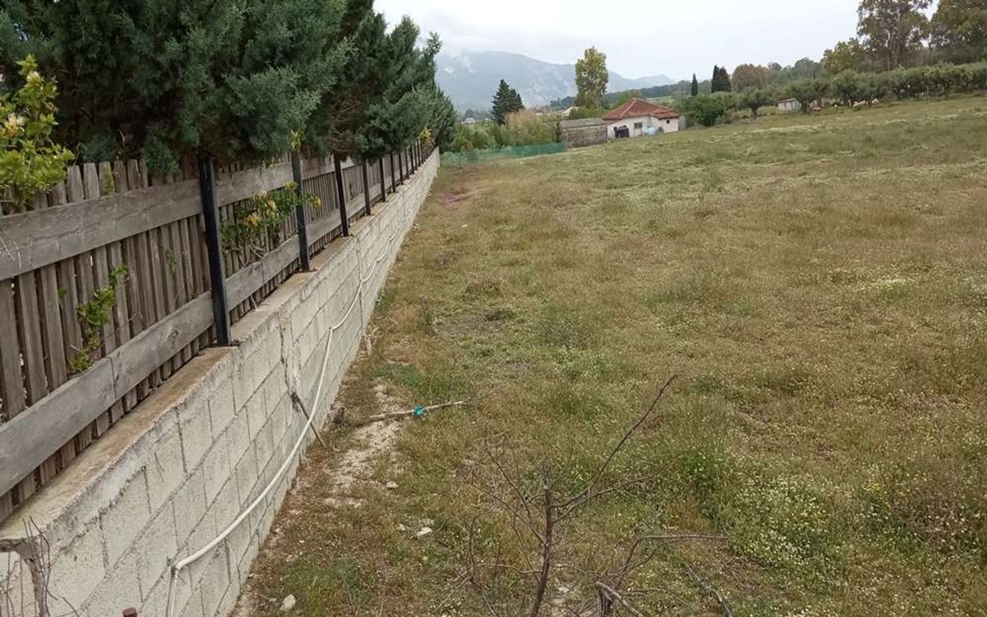 Land im Bochali, Ionia Nisia 10087957