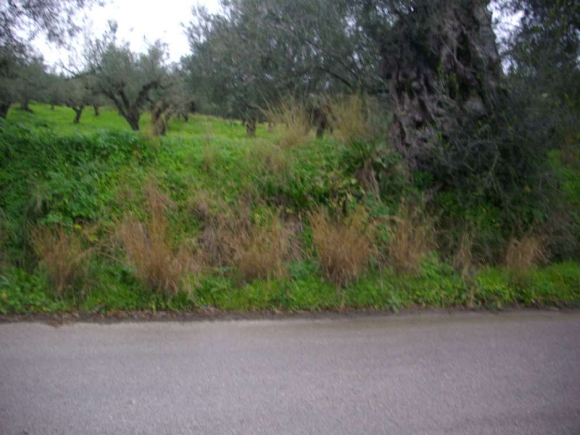 Land im Bochali, Ionia Nisia 10087960