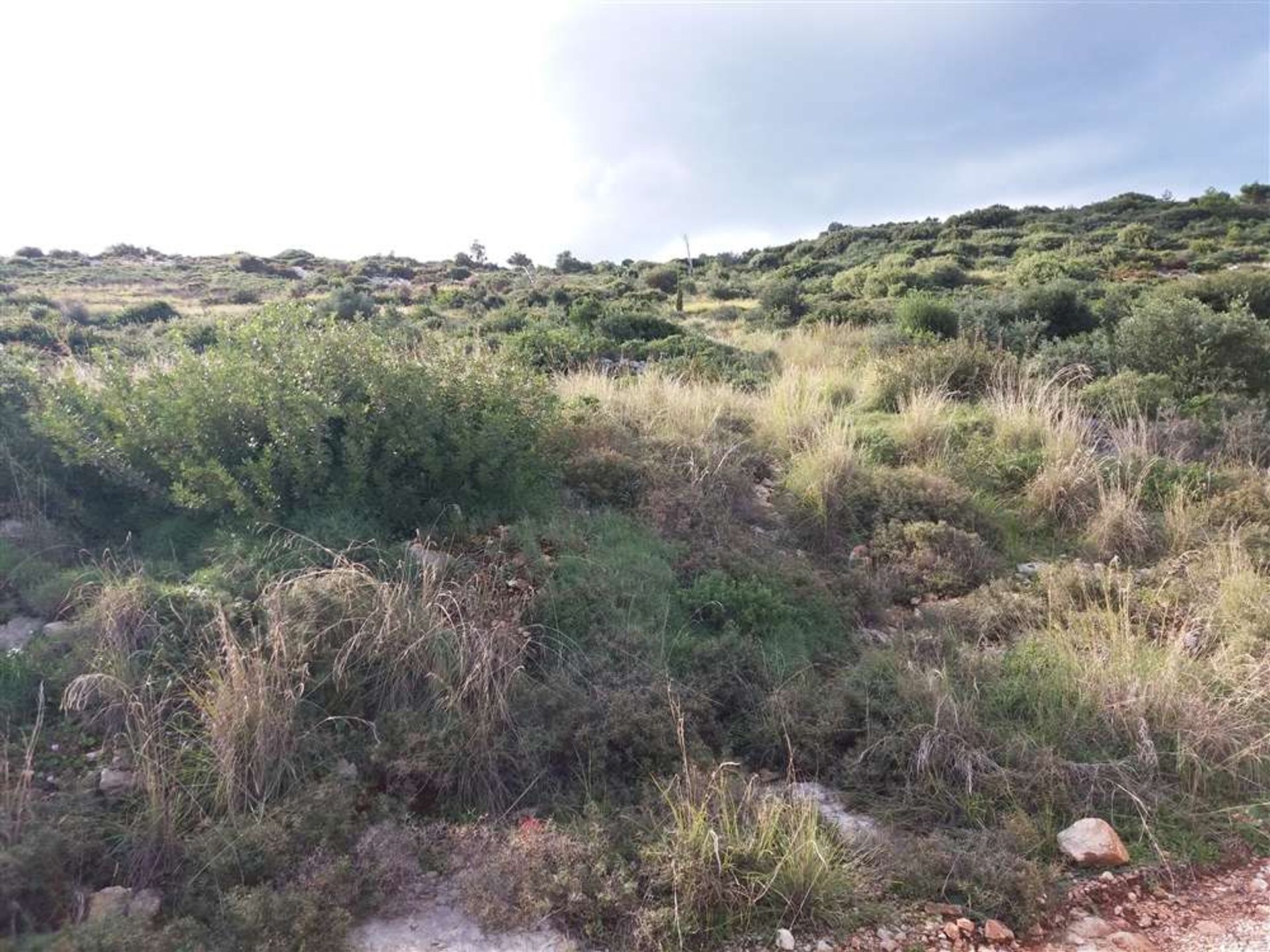 Tanah di Zakynthos, Zakinthos 10087963