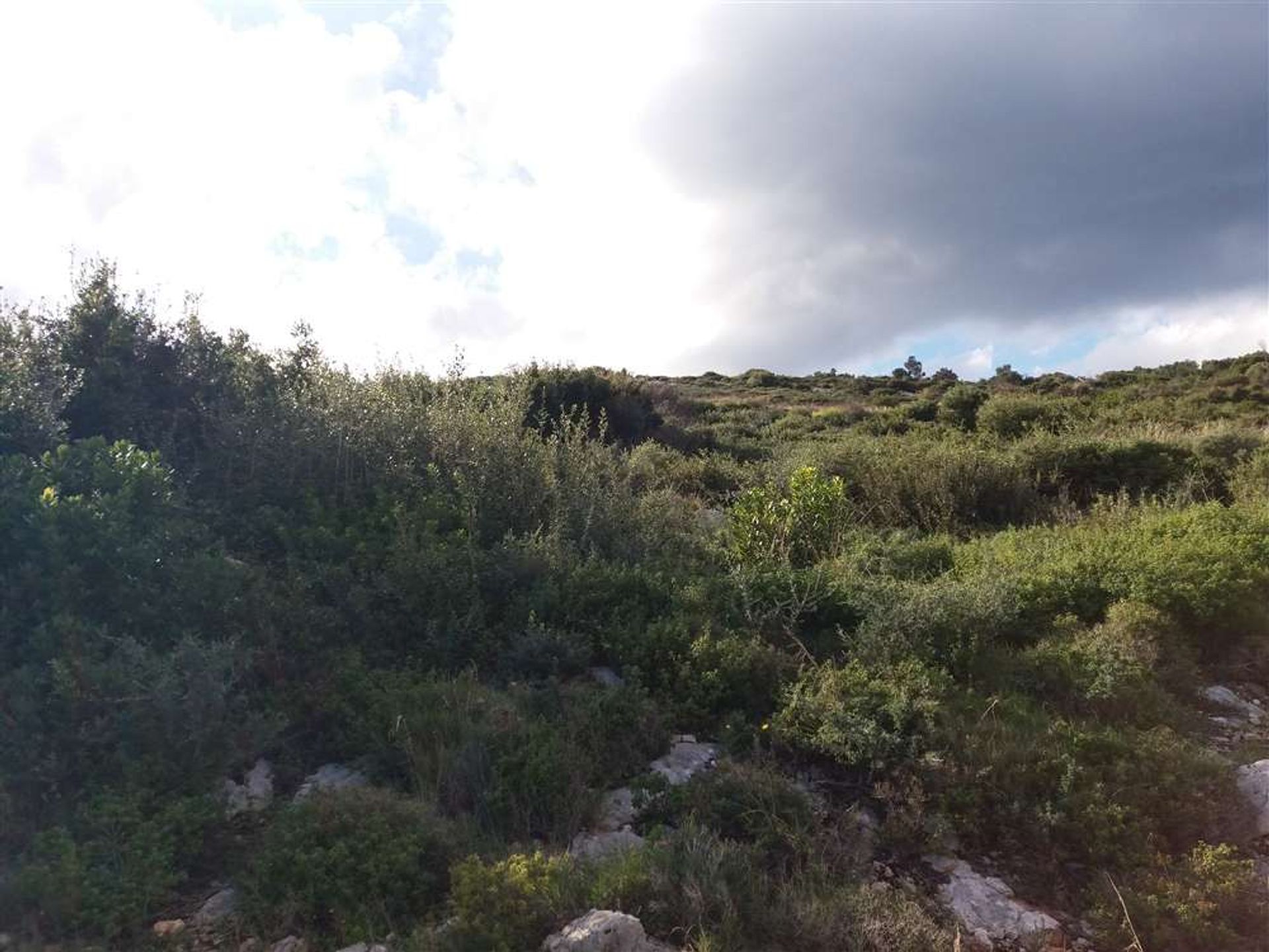 Tanah di Zakynthos, Zakinthos 10087963