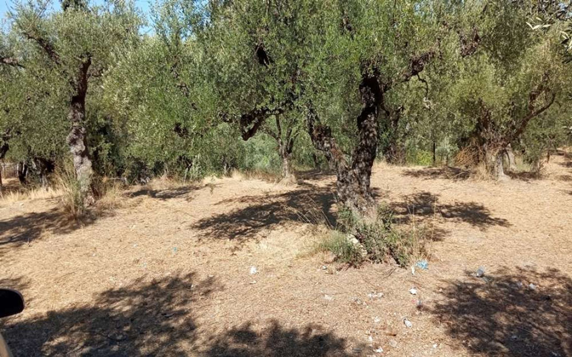 Tanah di Zakynthos, Zakinthos 10087967