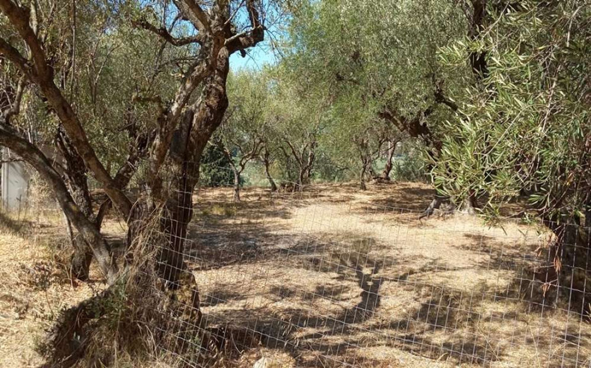 Tanah di Zakynthos, Zakinthos 10087967