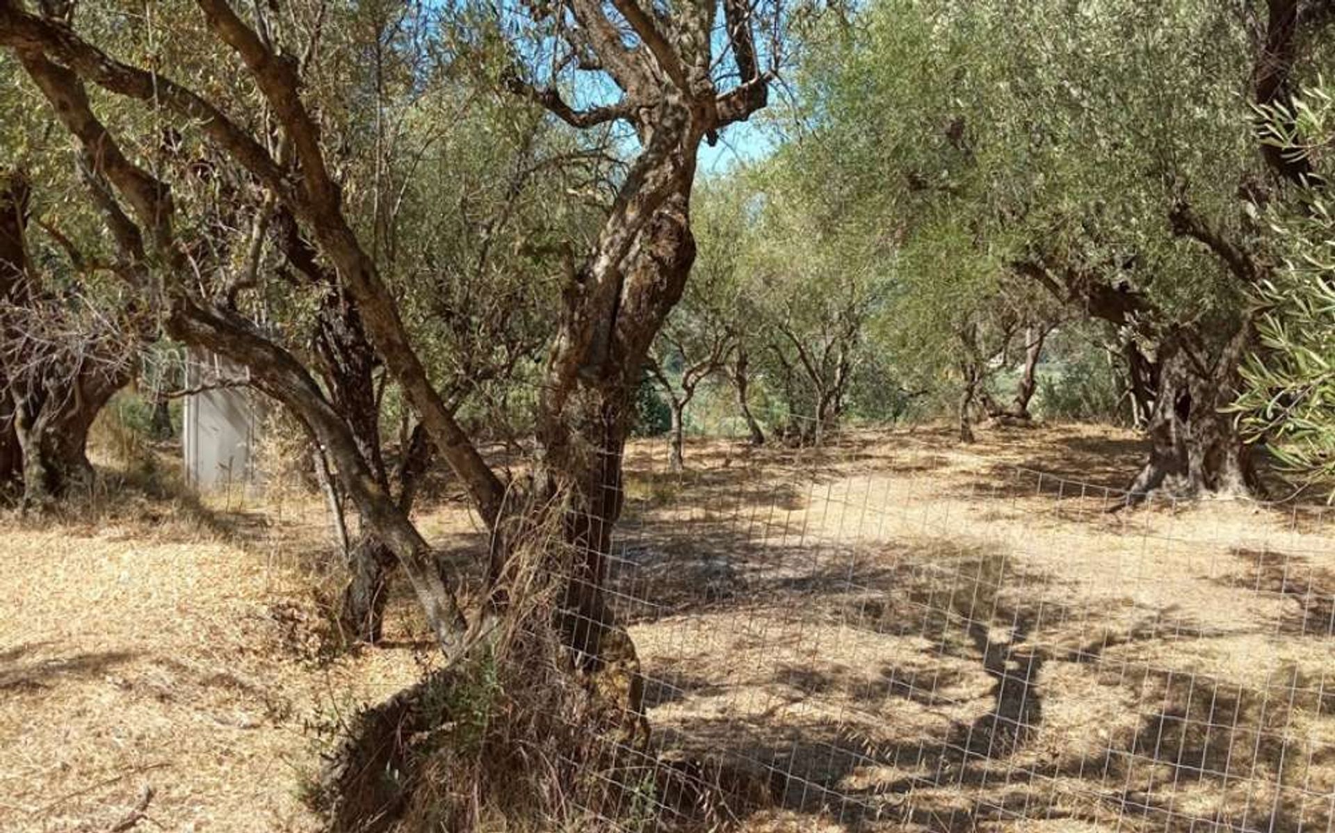 Tanah di Zakynthos, Zakinthos 10087967