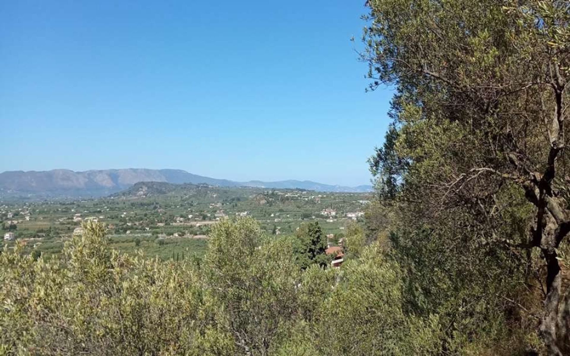 Tanah di Zakynthos, Zakinthos 10087967