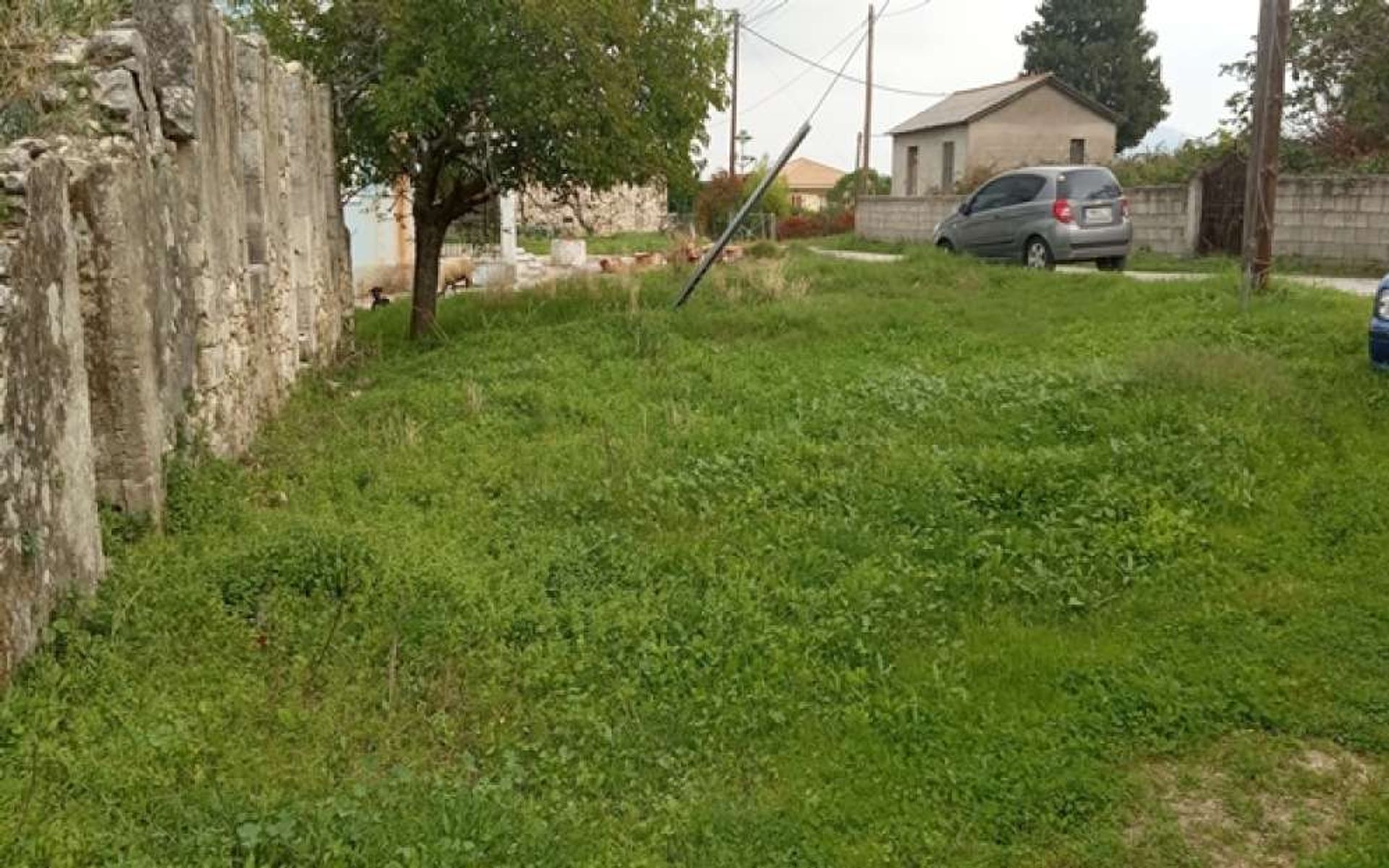 Tierra en Zakynthos, Zakinthos 10087969