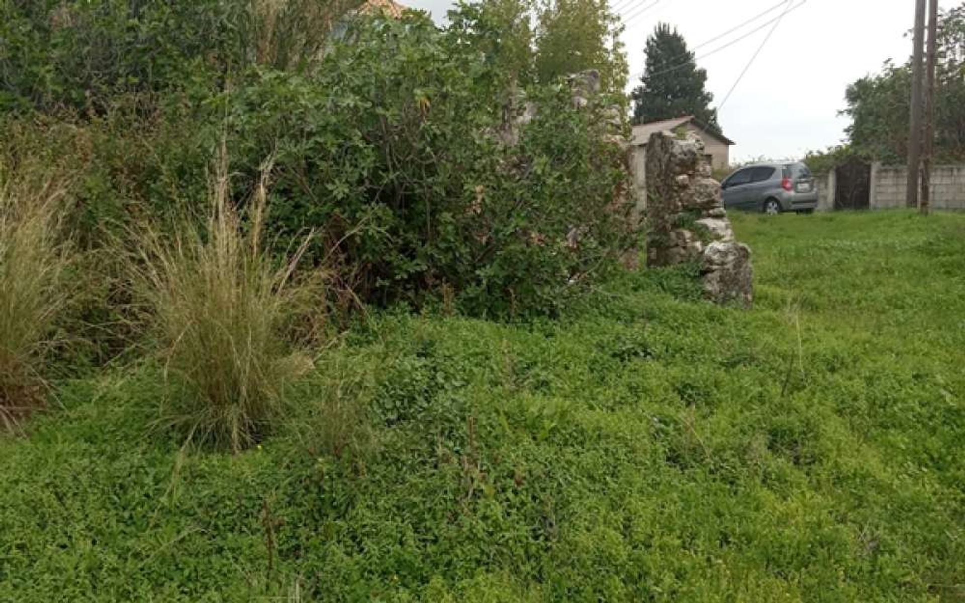 Tierra en Zakynthos, Zakinthos 10087969