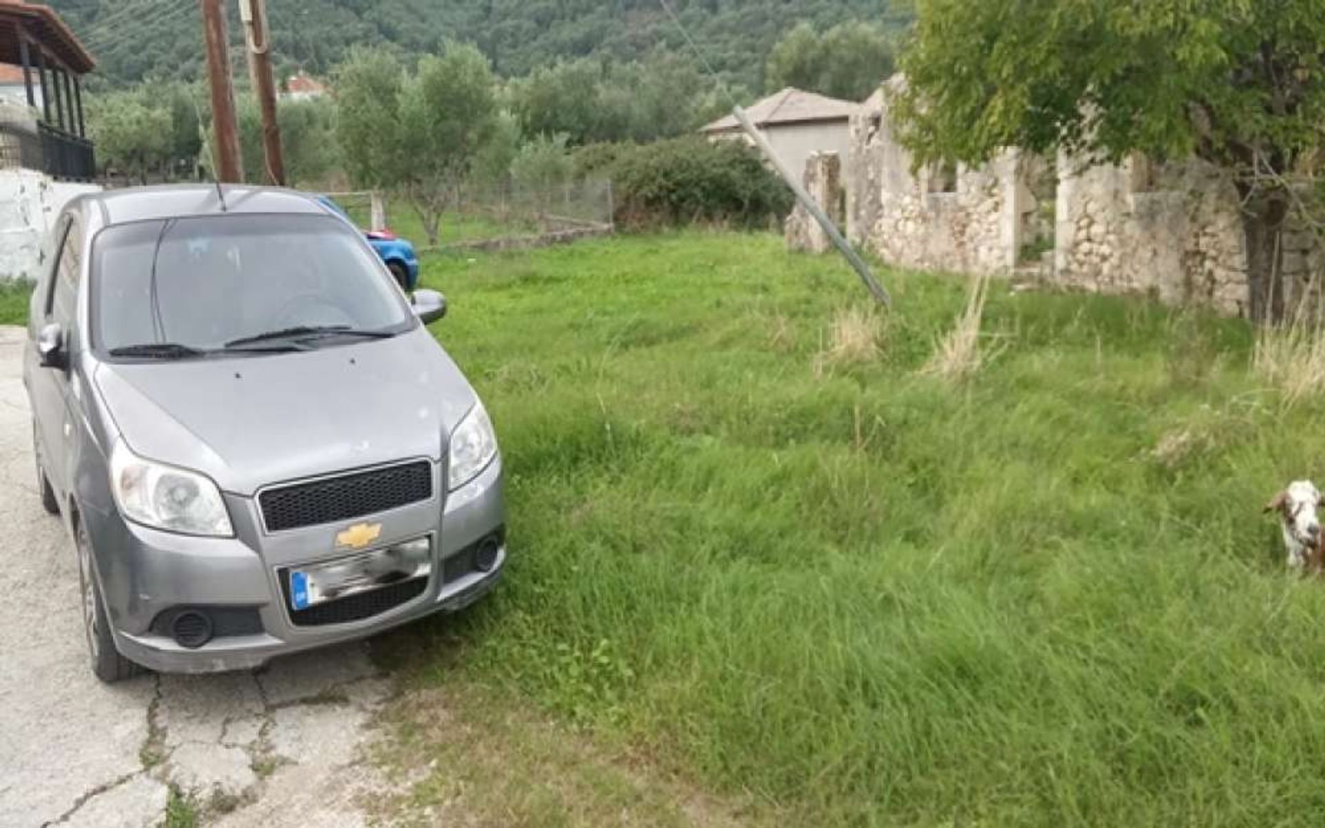 Tierra en Zakynthos, Zakinthos 10087969