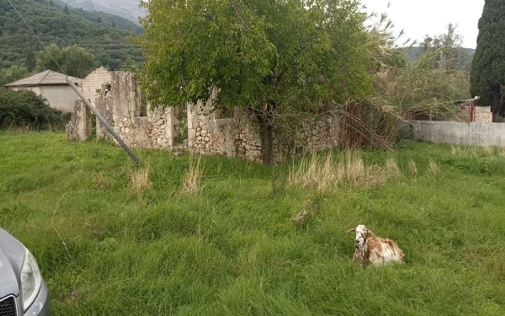 Tierra en Zakynthos, Zakinthos 10087969