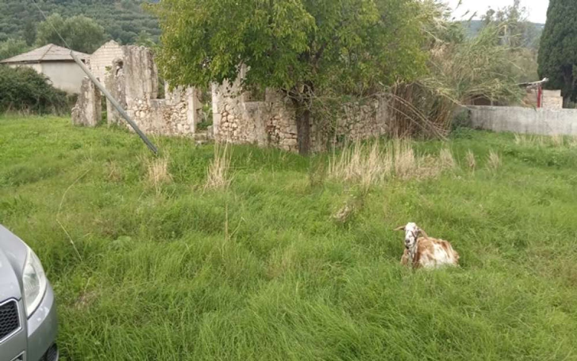 Tierra en bochalí, Jonia Nisia 10087969