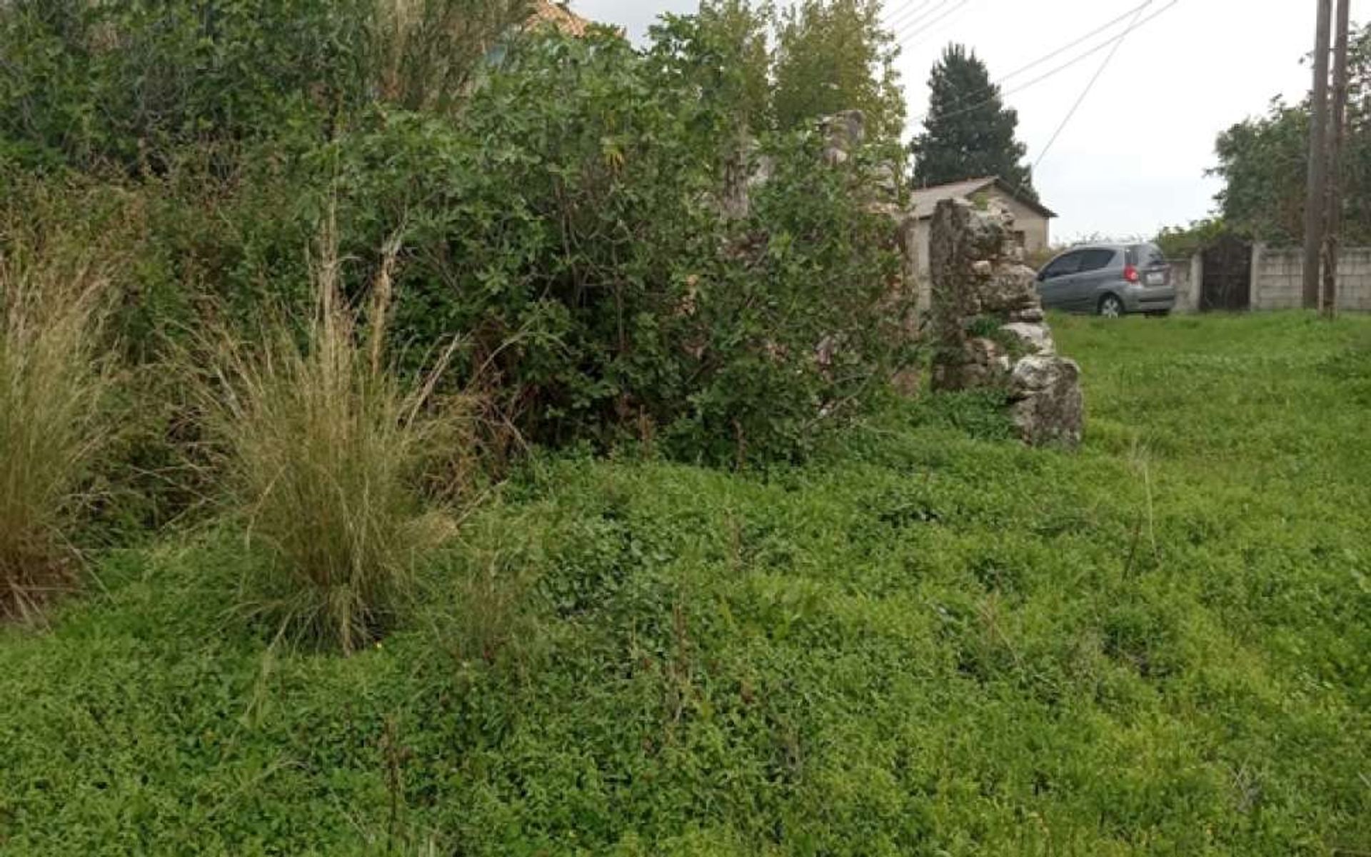 Tierra en Zakynthos, Zakinthos 10087969