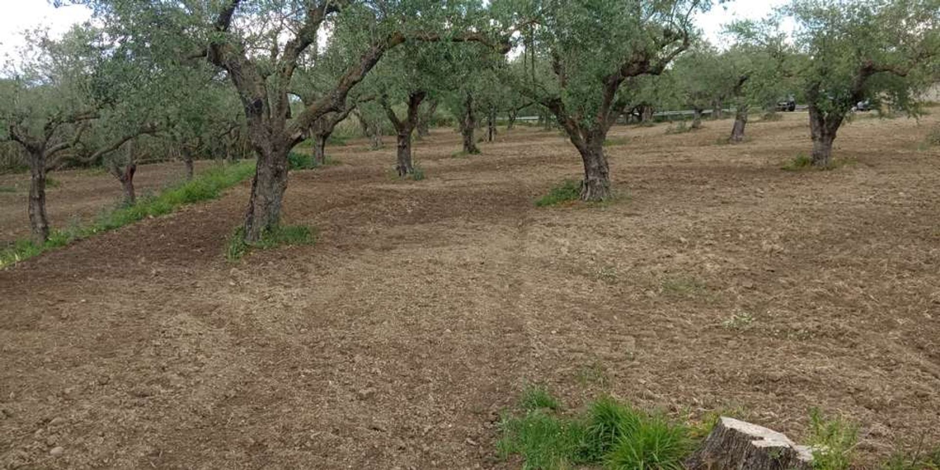 Γη σε Μπόχαλη, Ιωνία Νησιά 10087970