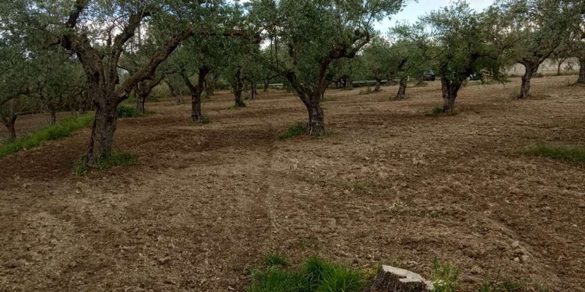 Land in Bochali, Ionia Nisia 10087970