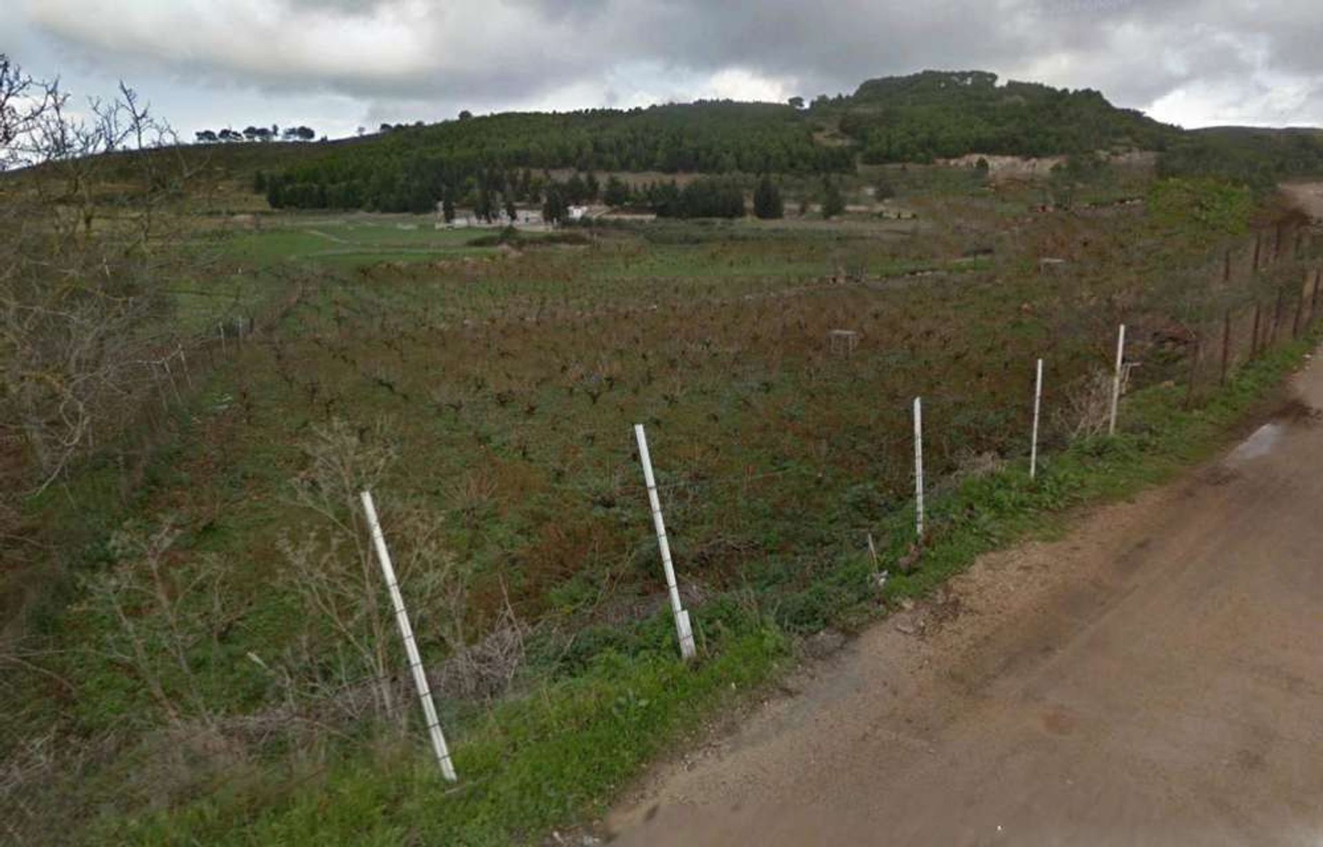 Tanah di Zakynthos, Zakinthos 10087979