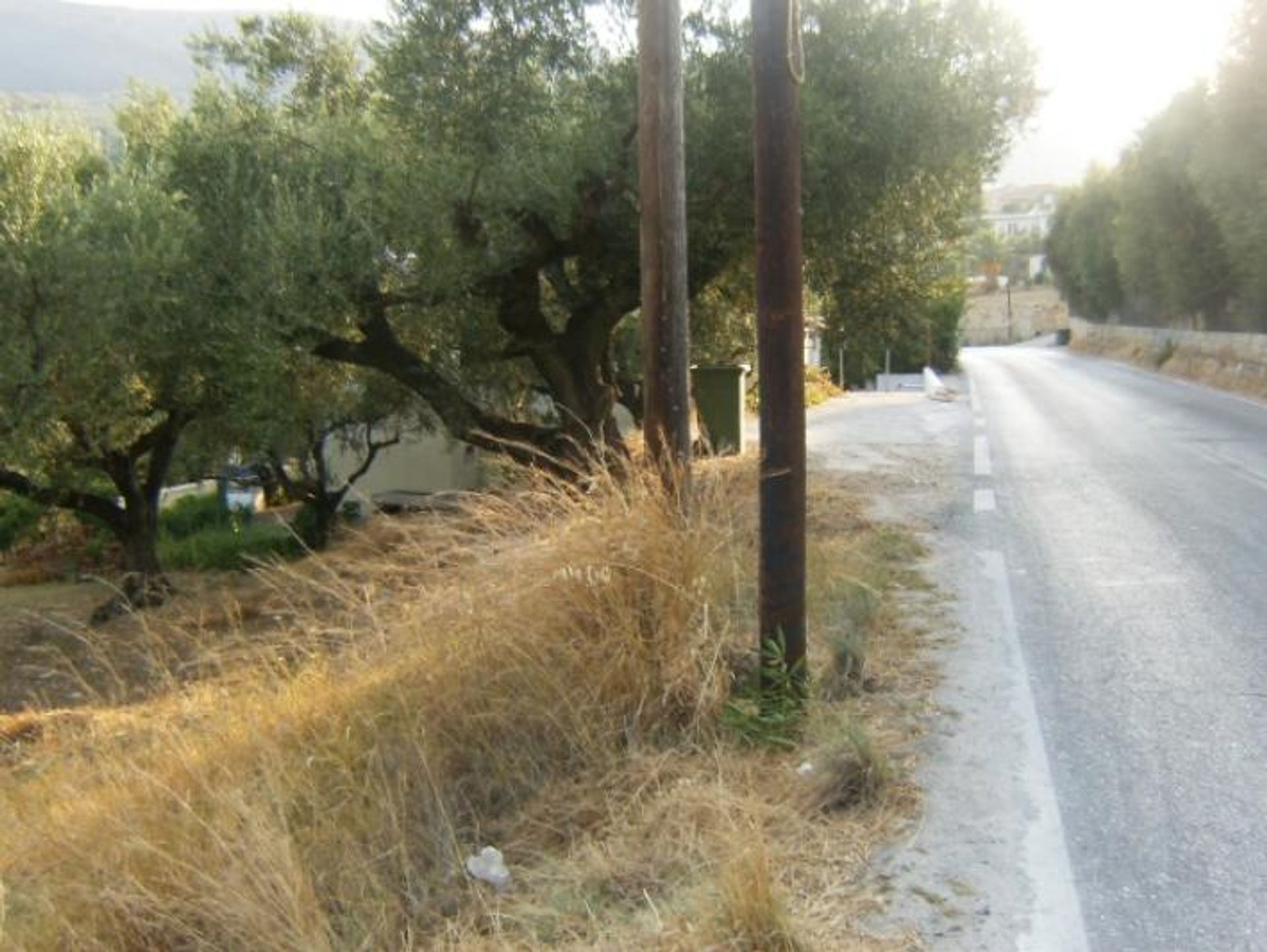 Земля в Zakynthos, Zakinthos 10087986