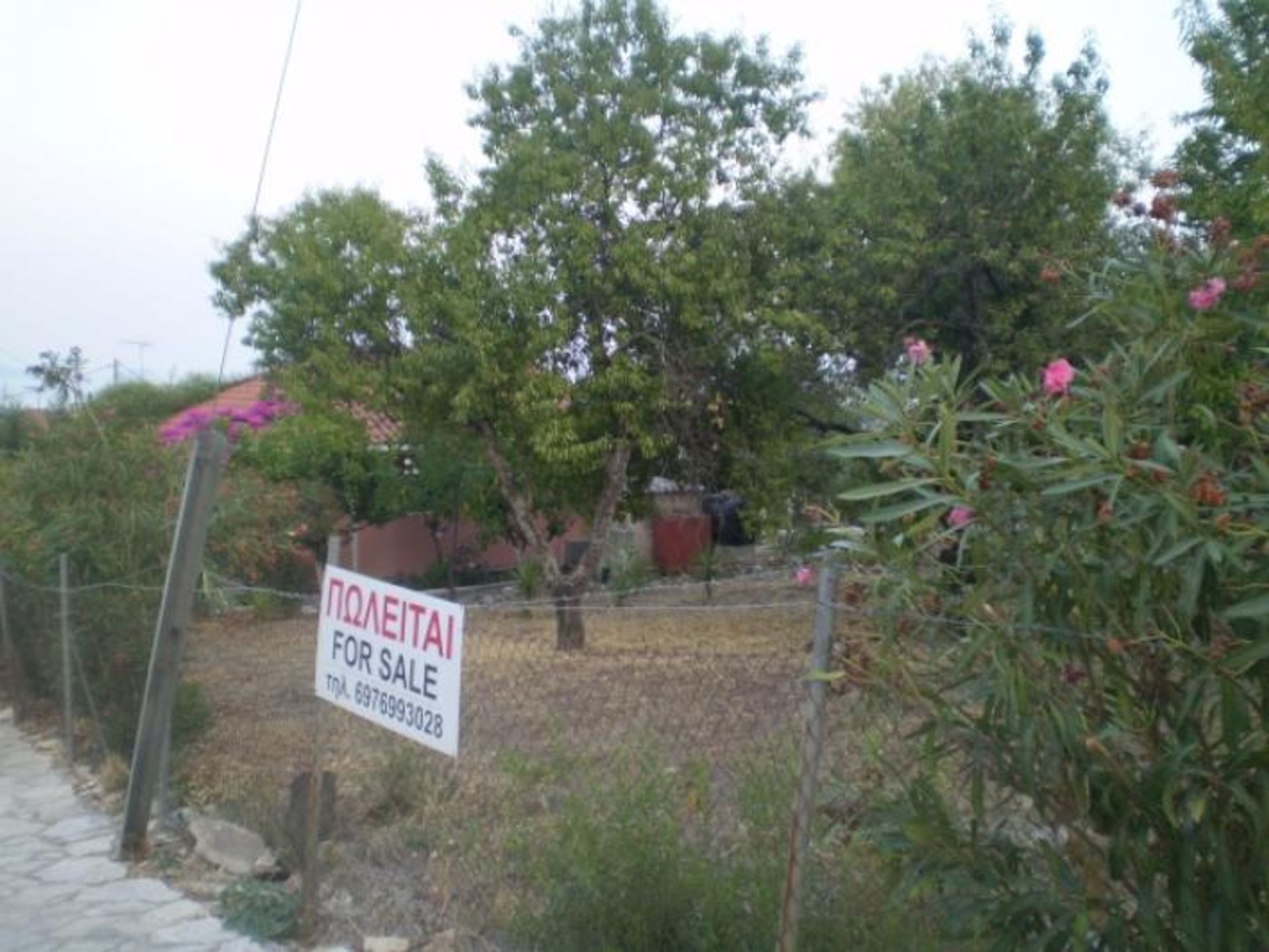 Земля в Zakynthos, Zakinthos 10087986