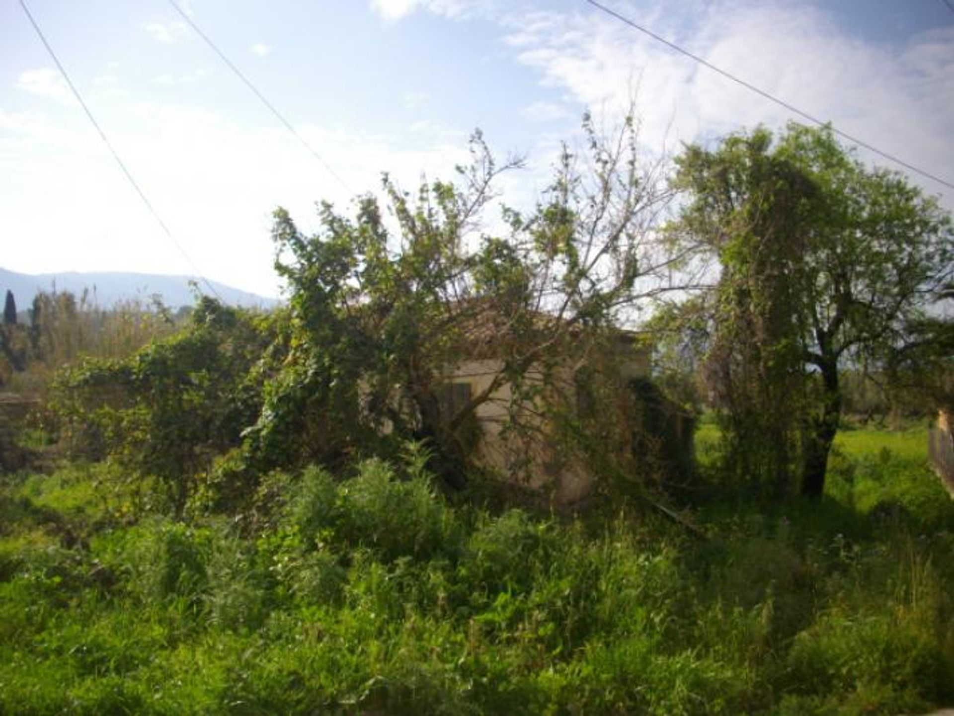 Land in Zakynthos, Zakinthos 10087987