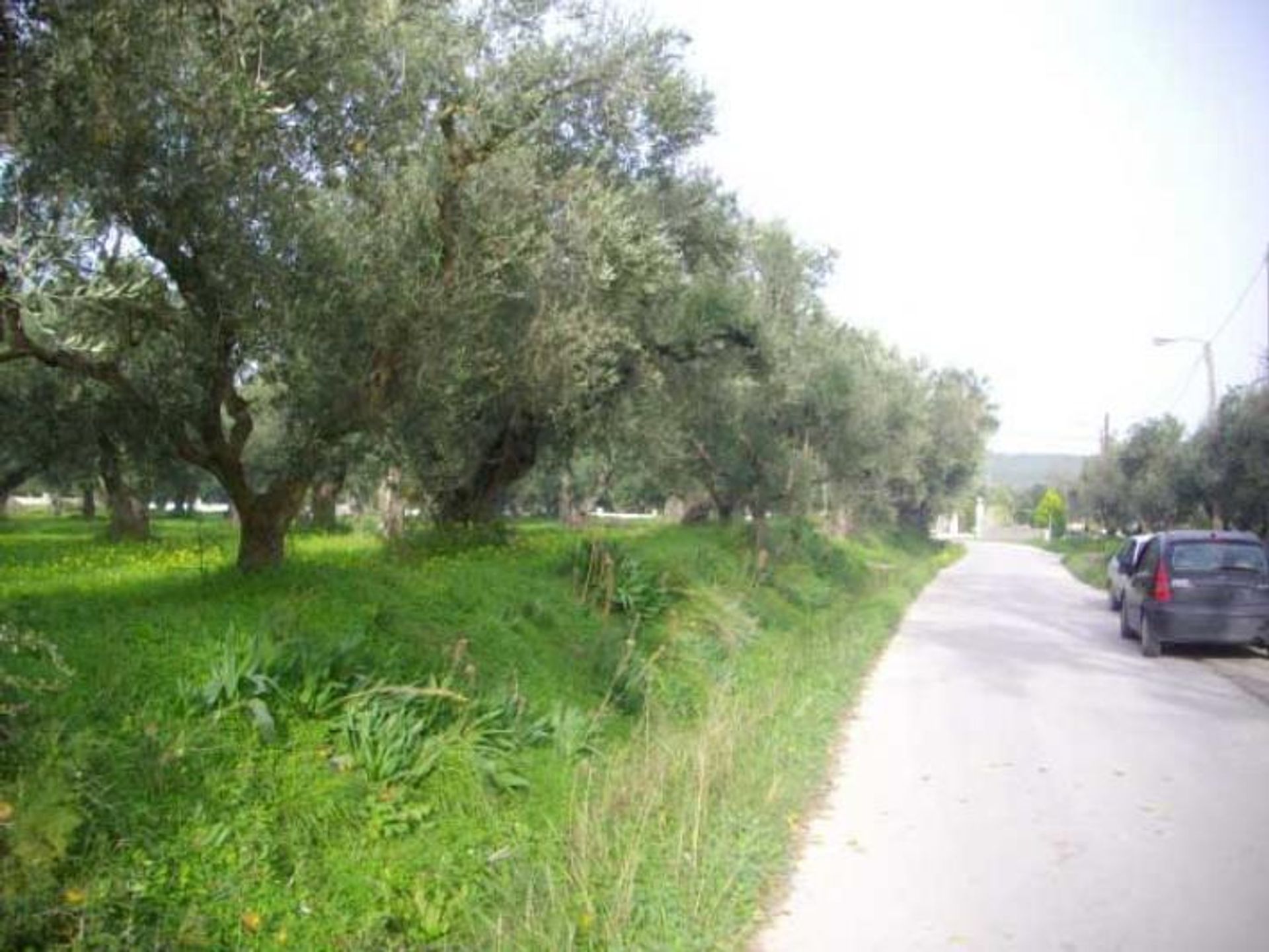 Jord i Zakynthos, Zakinthos 10087988