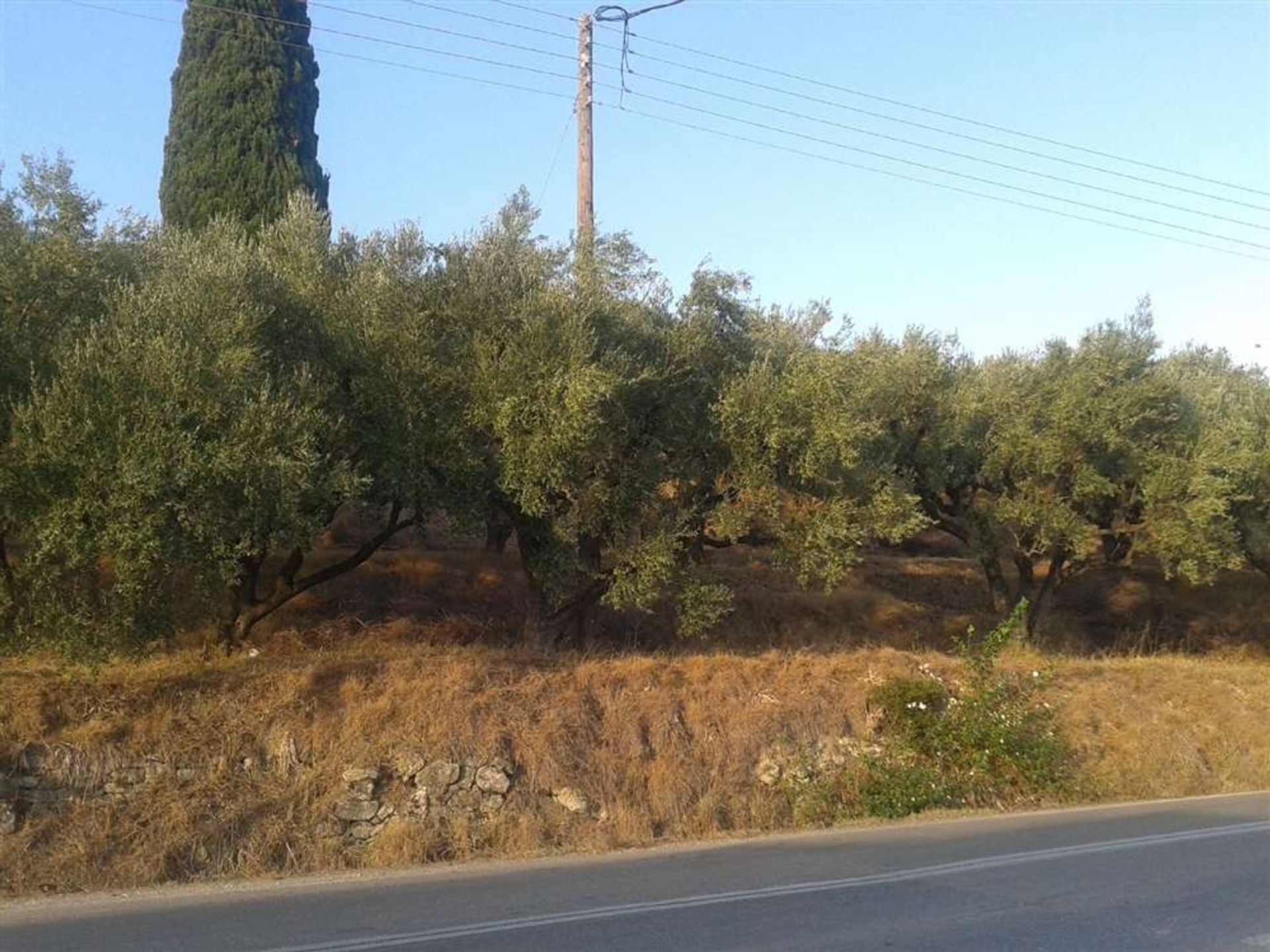 Land in Zakynthos, Zakinthos 10087990