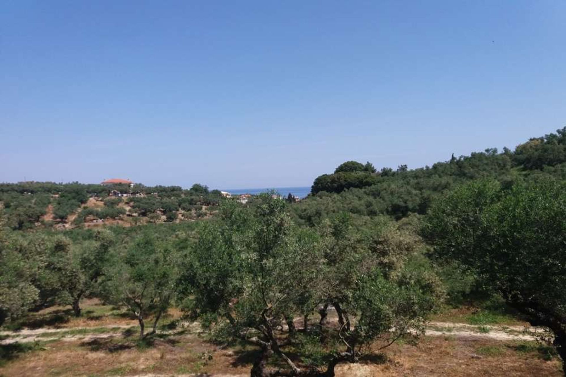 Land i Zakynthos, Zakinthos 10087994