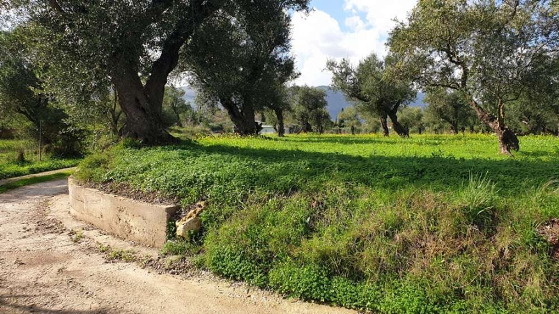 Tierra en Zakynthos, Zakinthos 10087996