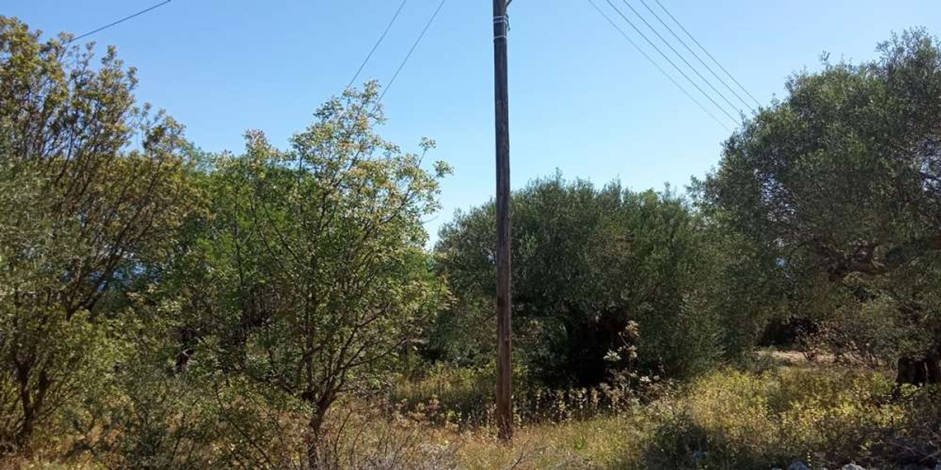 Tanah dalam Zakynthos, Zakinthos 10087997