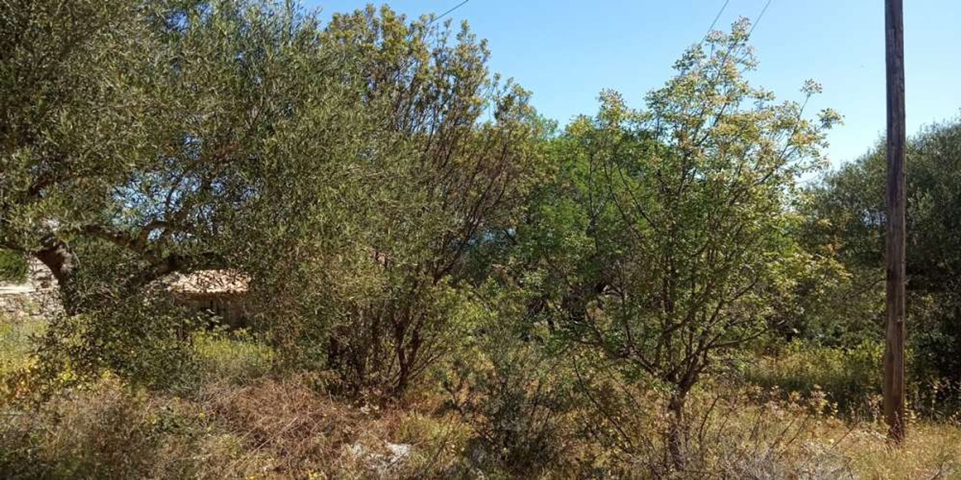 Terre dans Zakynthos, Zakinthos 10087997