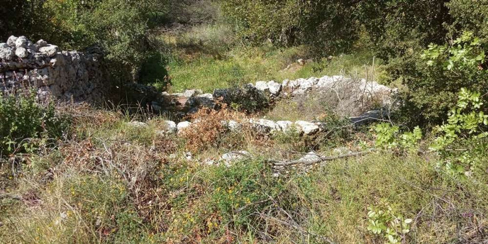 Maa sisään Zakynthos, Zakinthos 10087997