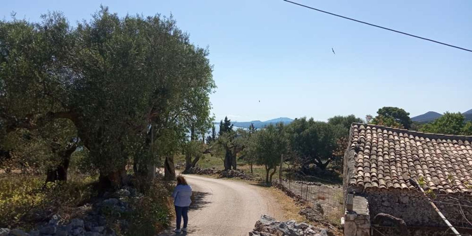 Land im Zakynthos, Zakinthos 10087997