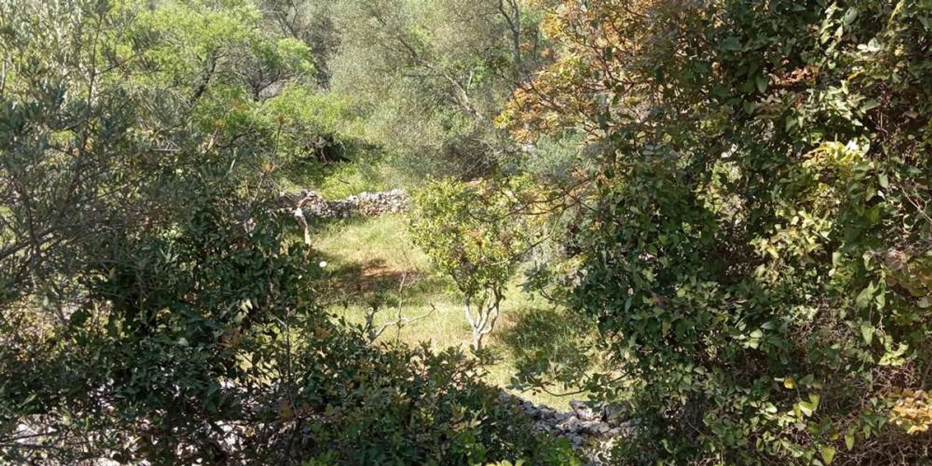 Tanah dalam Zakynthos, Zakinthos 10087997